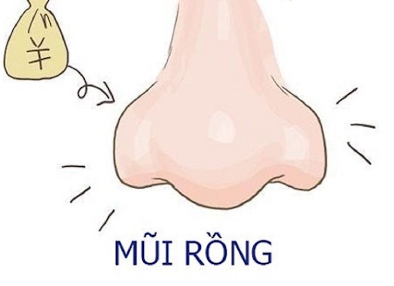 Tướng mũi rồng
